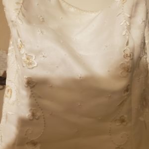 Michaelangelo Wedding Dress with Petticoat